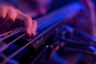 Aula de Contrabaixo Acústico - Escola de Música Ritmo e Som - Banner