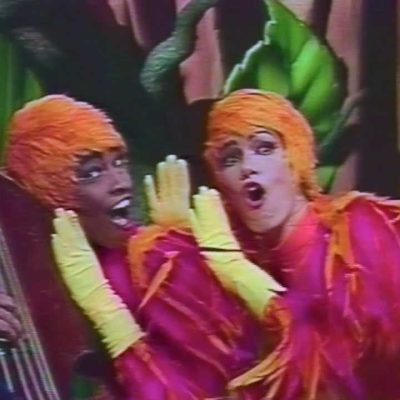 Passarinho, que som é esse? - O som do Contrabaixo